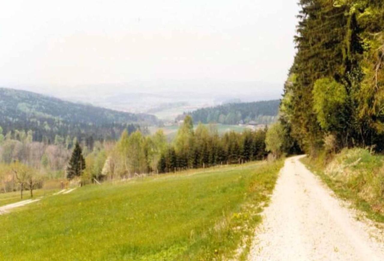 Ferienpension Posthof Waldmünchen Exteriör bild
